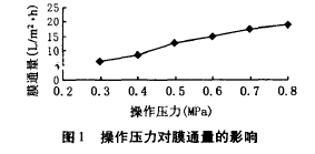 納濾膜，廢水滲透液，COD，去除效果