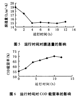 納濾膜，廢水滲透液，COD，去除效果